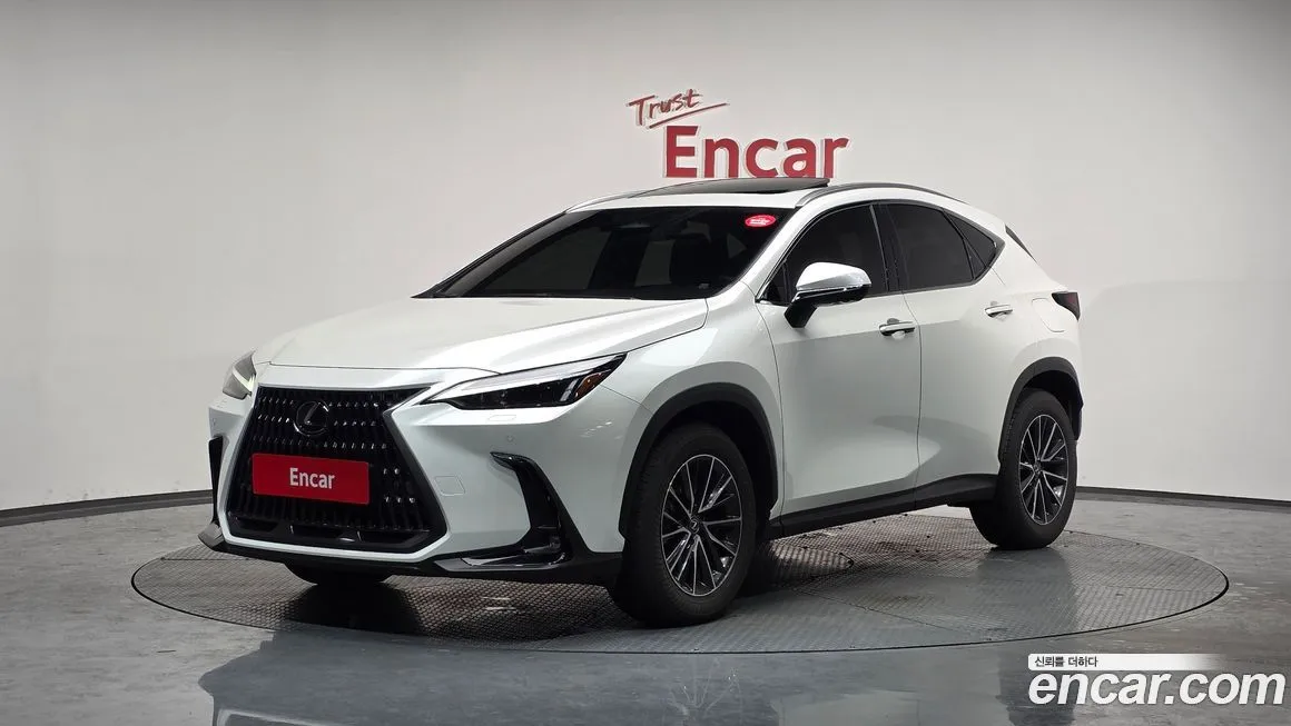 Lexus NX 2025 из KR, фото 1