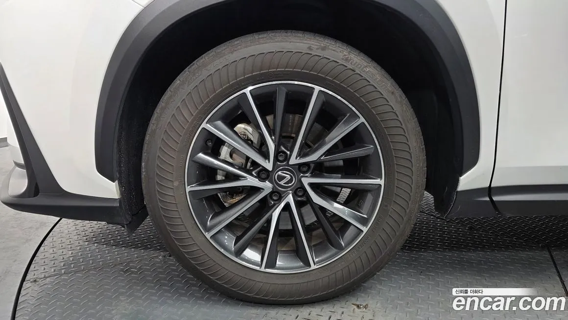 Lexus NX 2025 из KR, фото 5