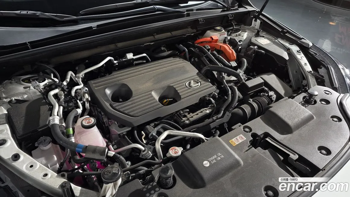 Lexus NX 2025 из KR, фото 6