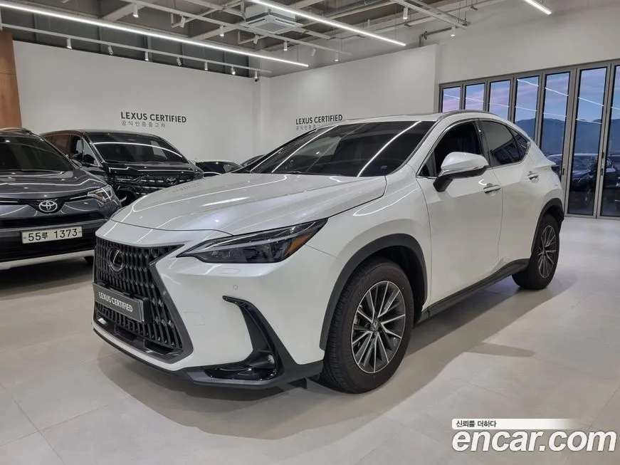 Lexus NX 2025 из KR, фото 1