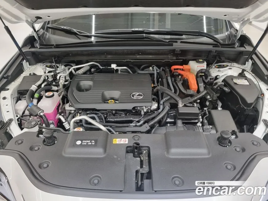 Lexus NX 2025 из KR, фото 6