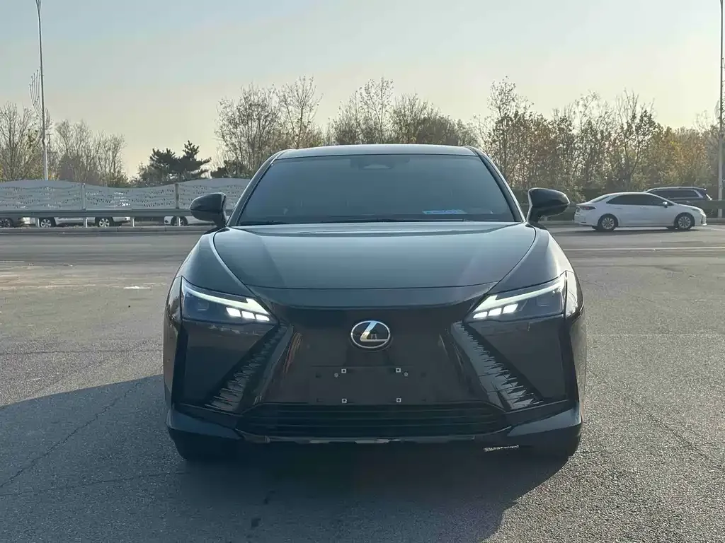 Lexus RZ 2023 из CN, фото 2