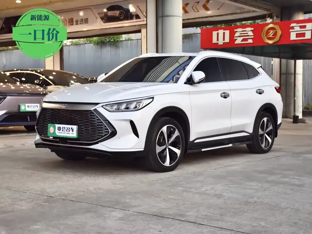 BYD PLUS New Energy 2022 из CN, фото 1