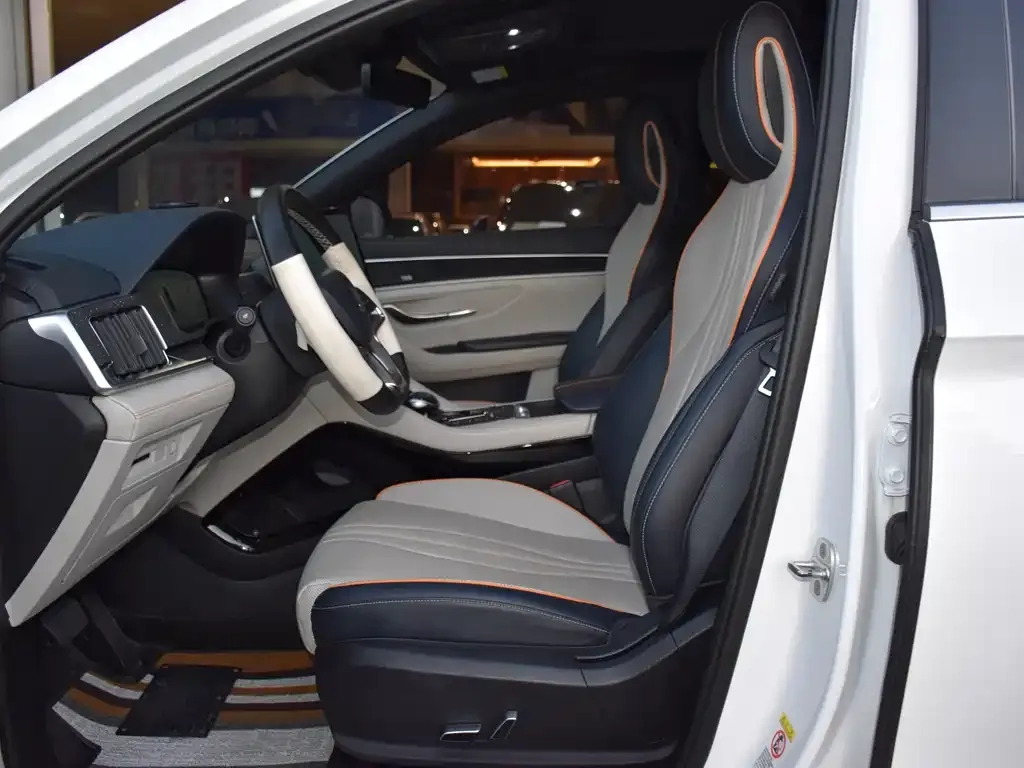 BYD PLUS New Energy 2022 из CN, фото 10