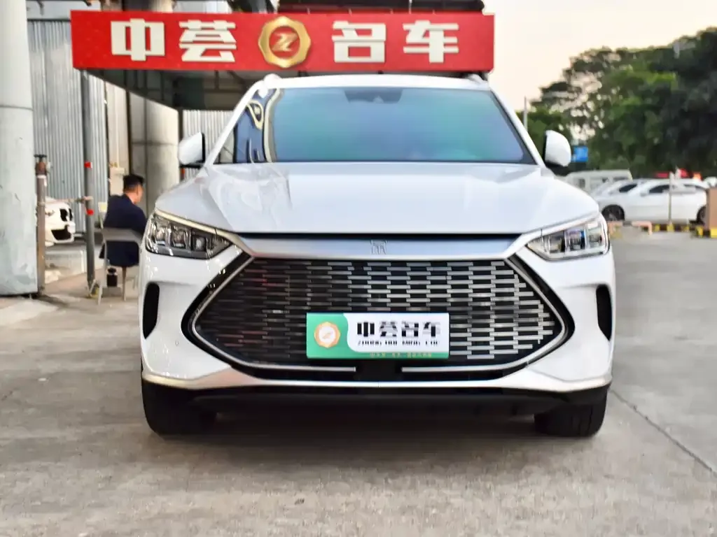 BYD PLUS New Energy 2022 из CN, фото 2