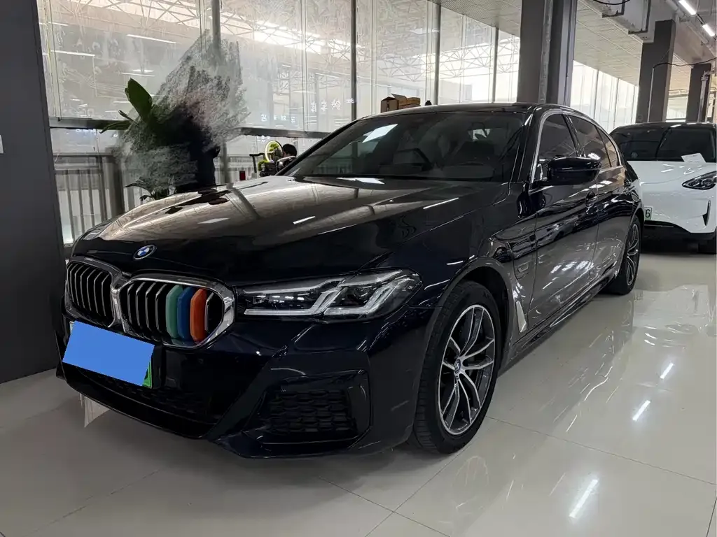 BMW 5 Series New Energy 2022 из CN, фото 1
