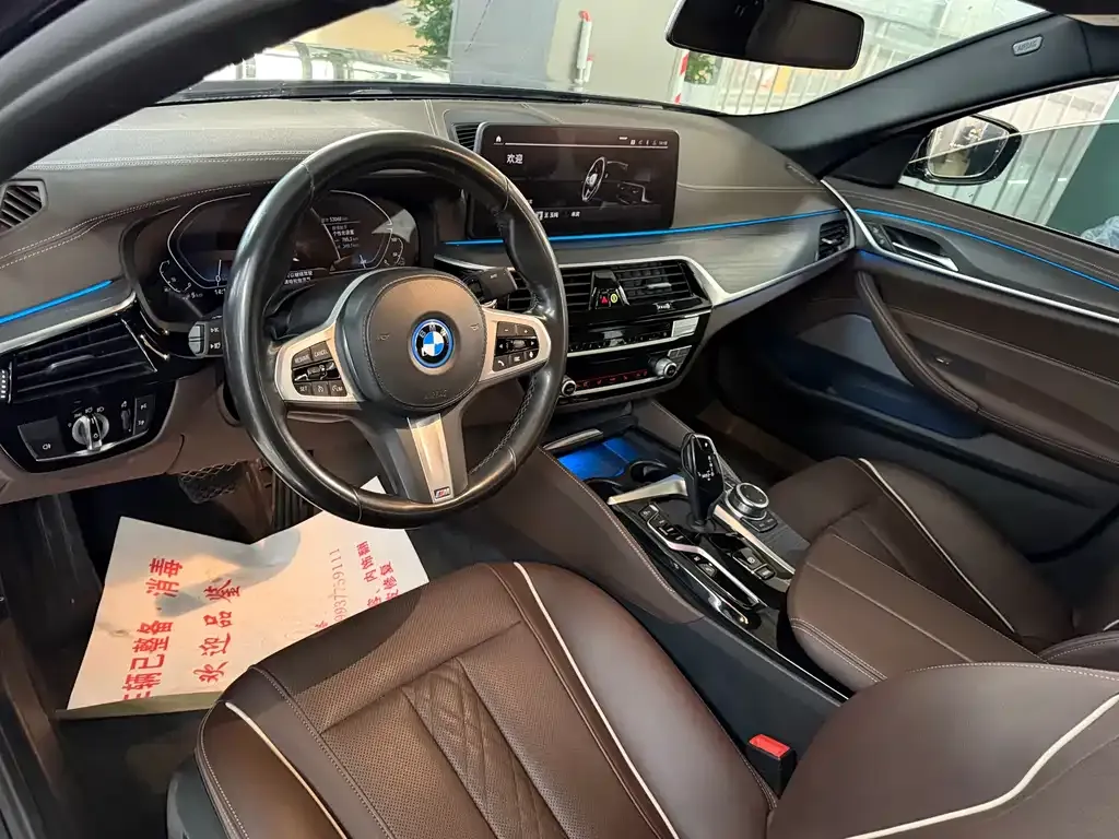 BMW 5 Series New Energy 2022 из CN, фото 2