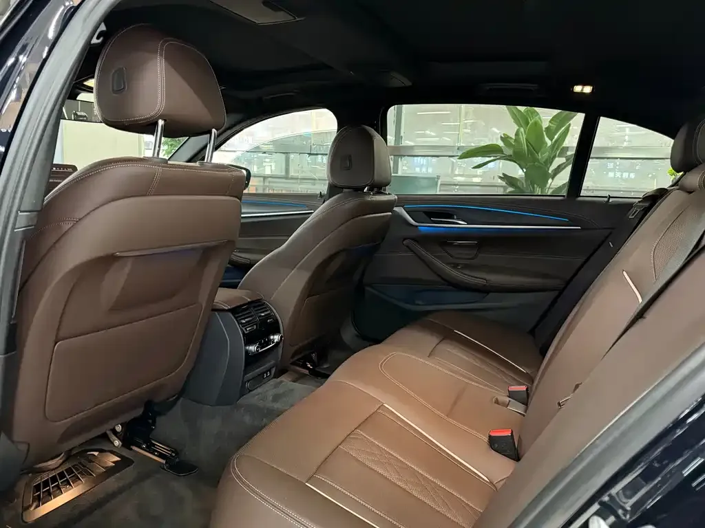 BMW 5 Series New Energy 2022 из CN, фото 4