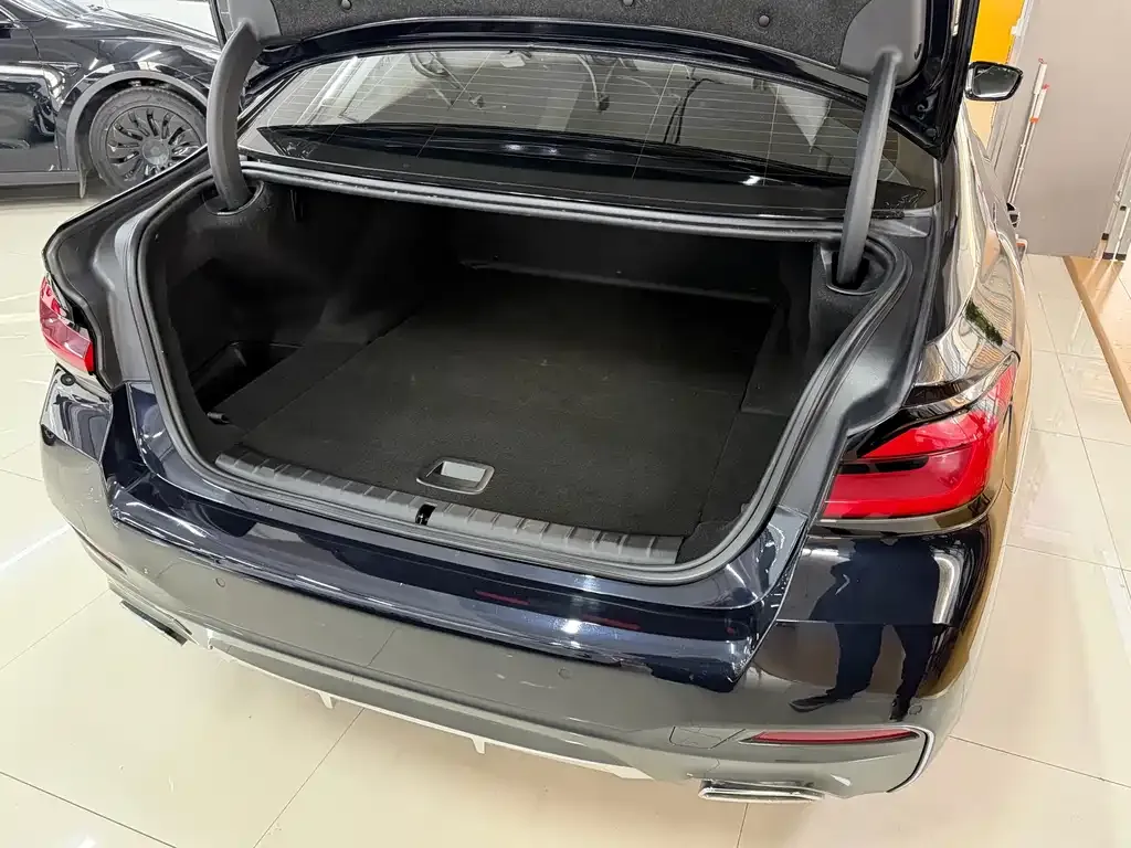 BMW 5 Series New Energy 2022 из CN, фото 8