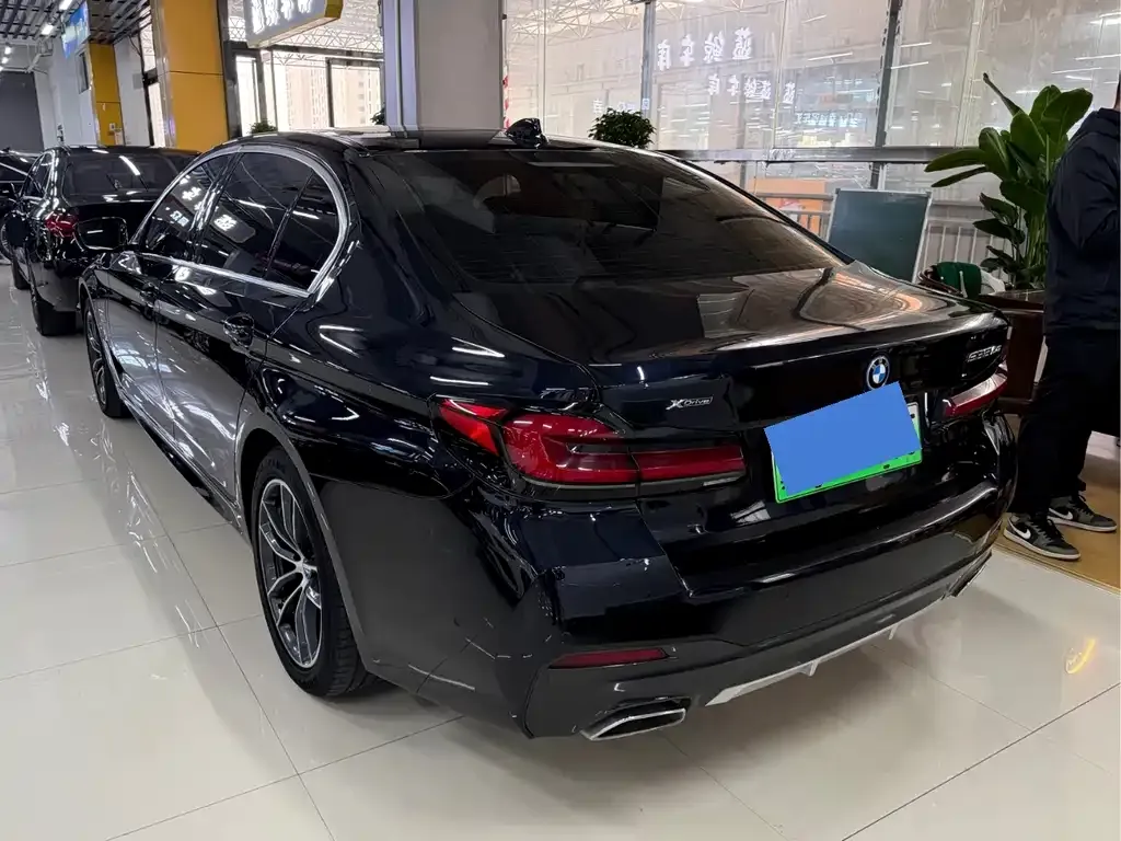 BMW 5 Series New Energy 2022 из CN, фото 9