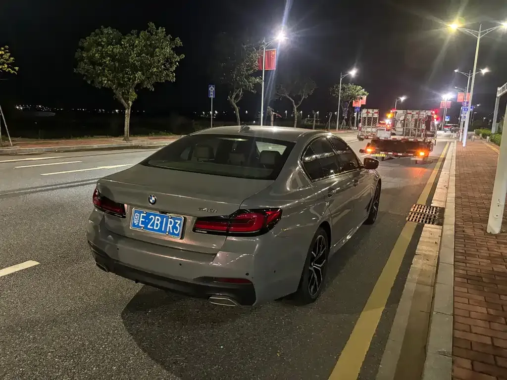 BMW 5 Series (Import) 2021 из CN, фото 4