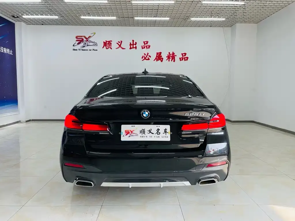 BMW 5 Series 2022 из CN, фото 4