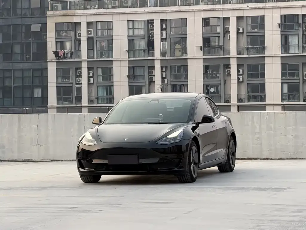 Tesla Model 3 2021 из CN, фото 1