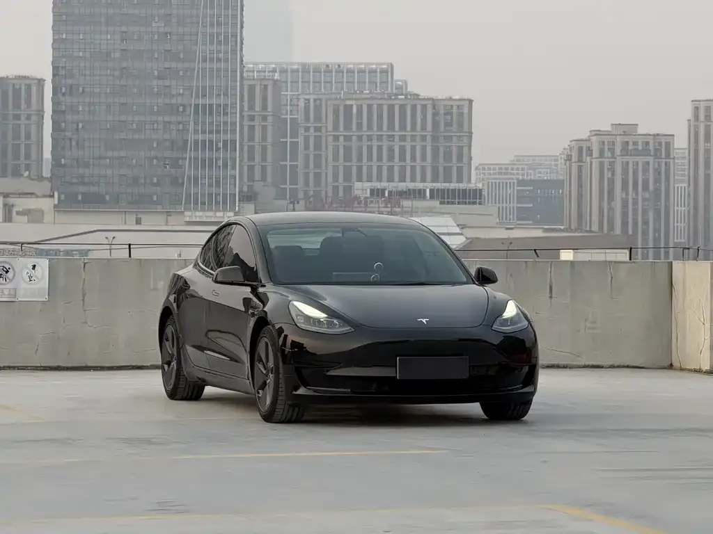 Tesla Model 3 2021 из CN, фото 2