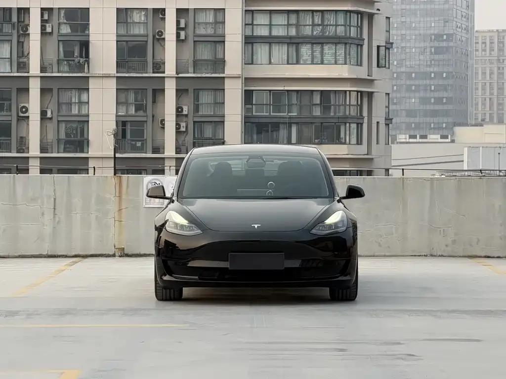 Tesla Model 3 2021 из CN, фото 3