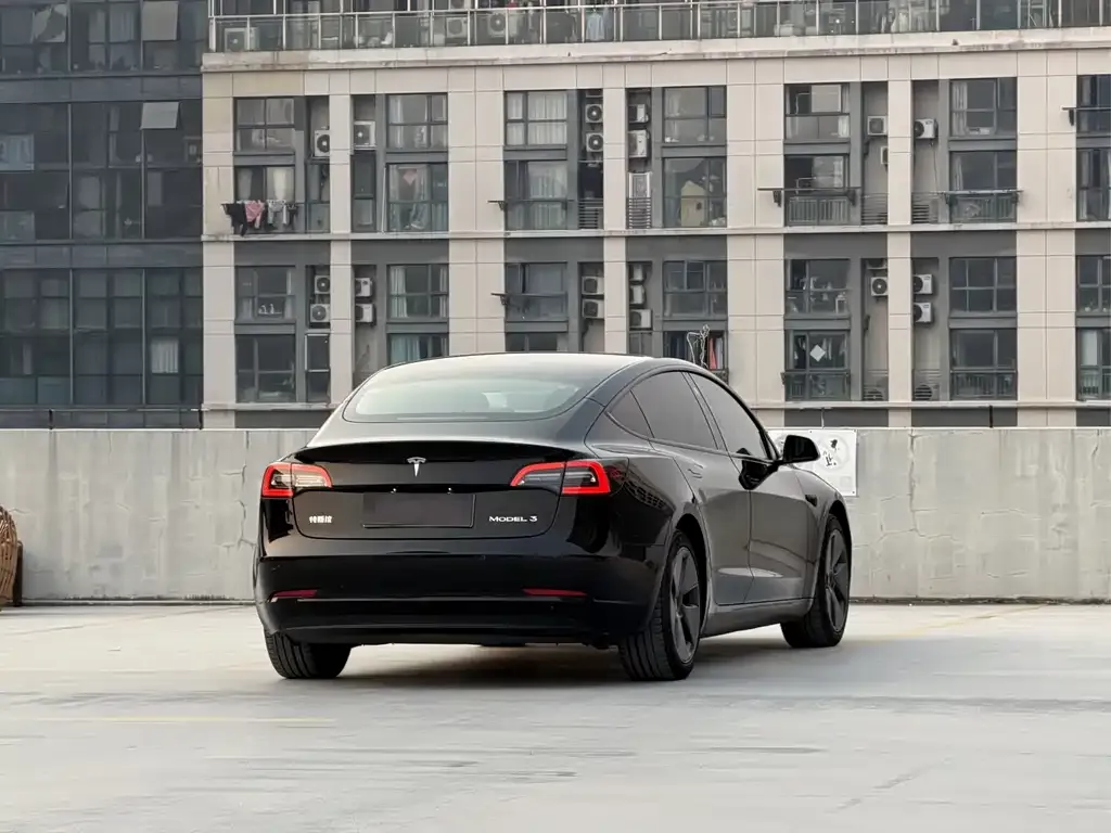 Tesla Model 3 2021 из CN, фото 5