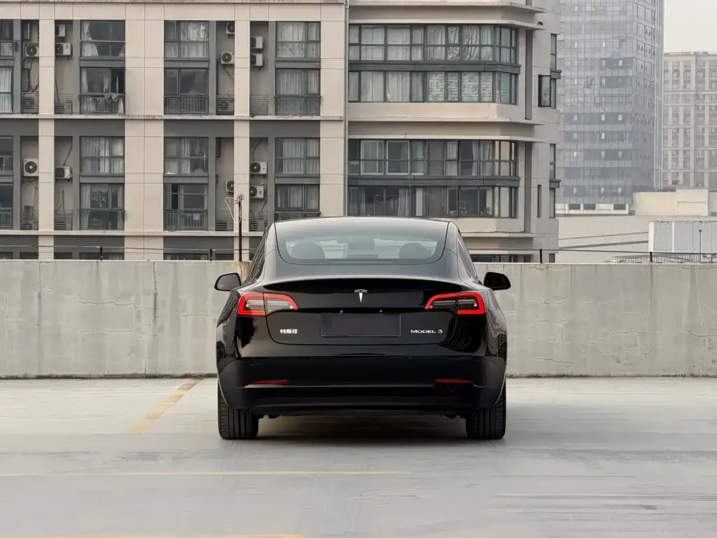 Tesla Model 3 2021 из CN, фото 6