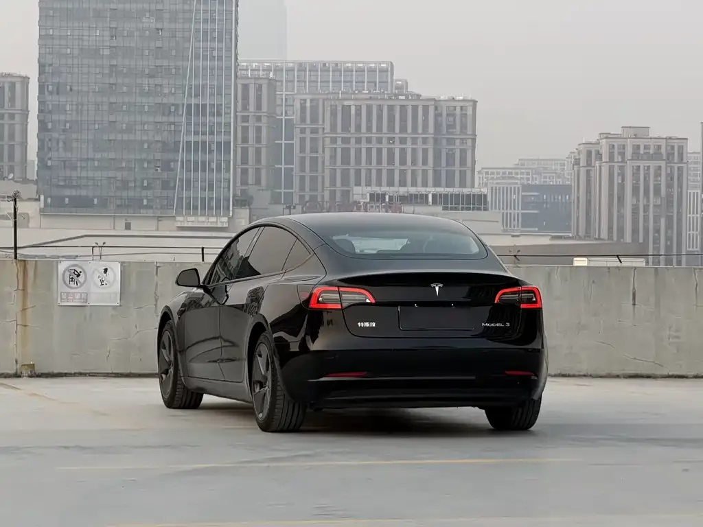 Tesla Model 3 2021 из CN, фото 7