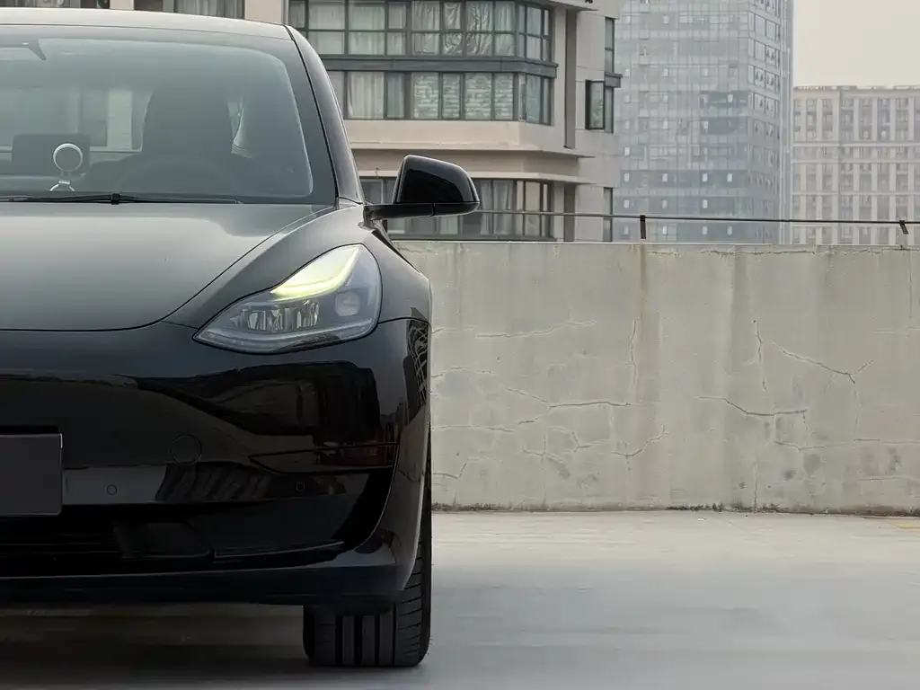 Tesla Model 3 2021 из CN, фото 8