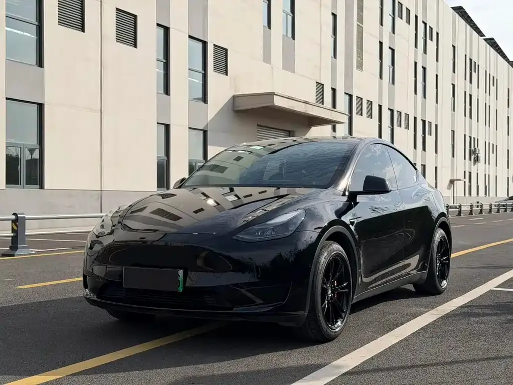 Tesla Model Y 2022 из CN, фото 1