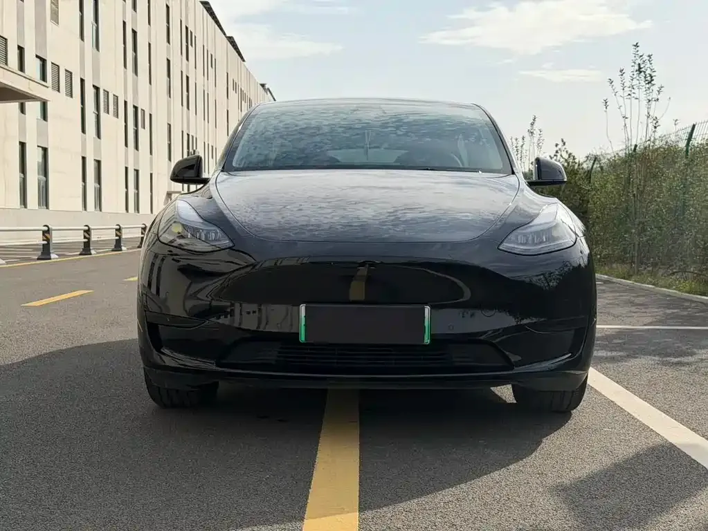 Tesla Model Y 2022 из CN, фото 2