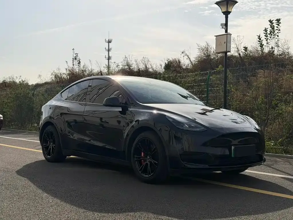 Tesla Model Y 2022 из CN, фото 3