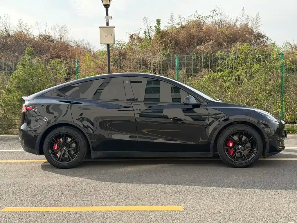 Tesla Model Y 2022 из CN, фото 7