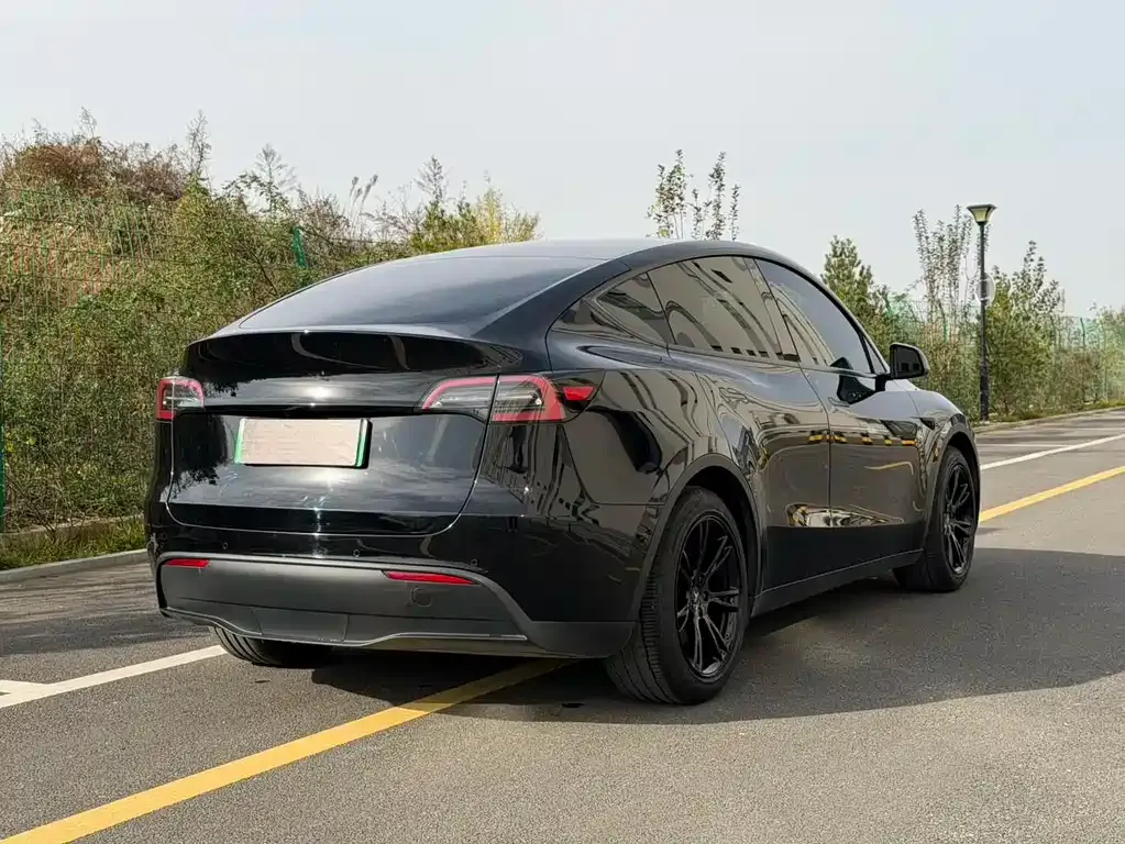Tesla Model Y 2022 из CN, фото 9