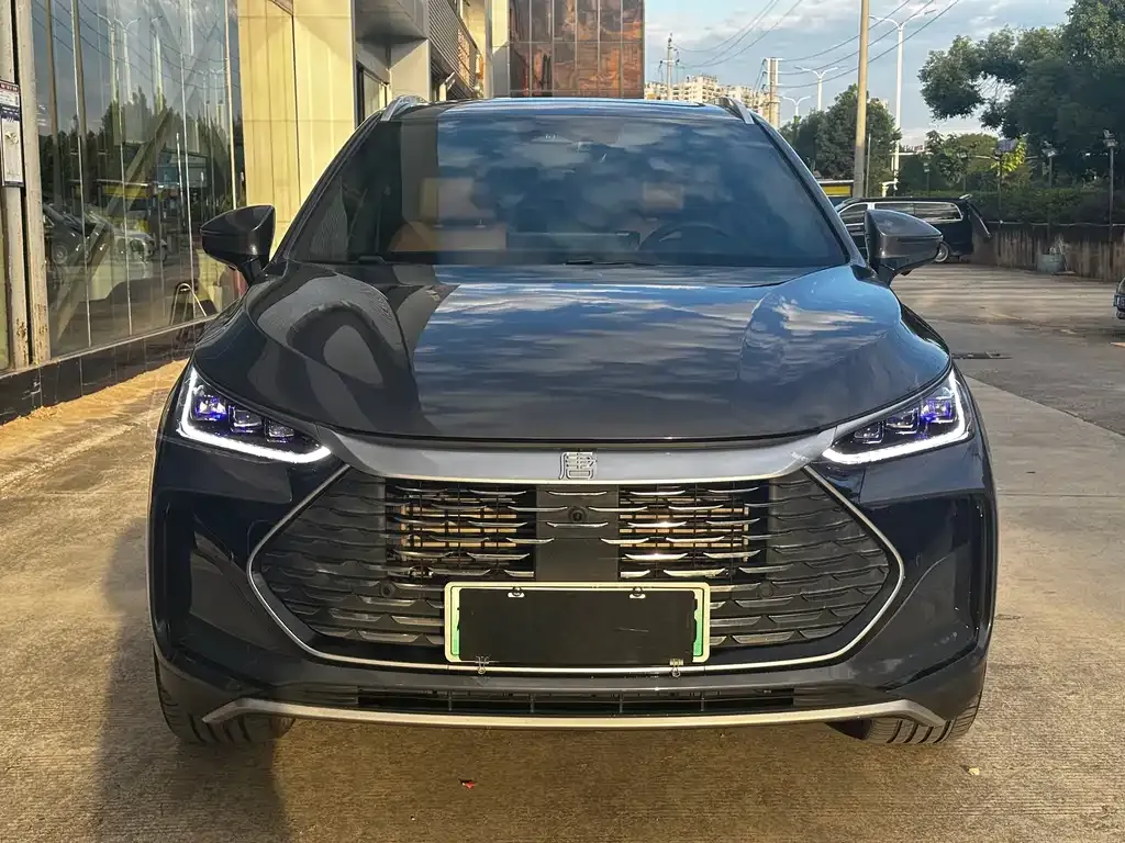 BYD Tang New Energy 2023 из CN, фото 2