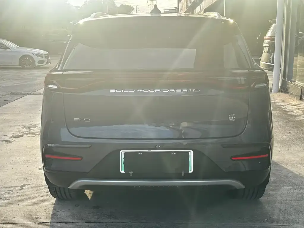BYD Tang New Energy 2023 из CN, фото 6