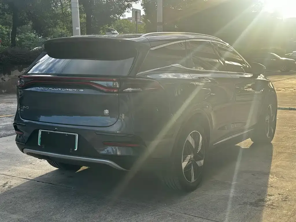 BYD Tang New Energy 2023 из CN, фото 7