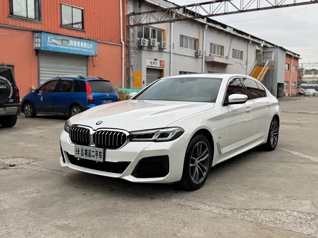 BMW 5 Series 2021 из CN, фото 1
