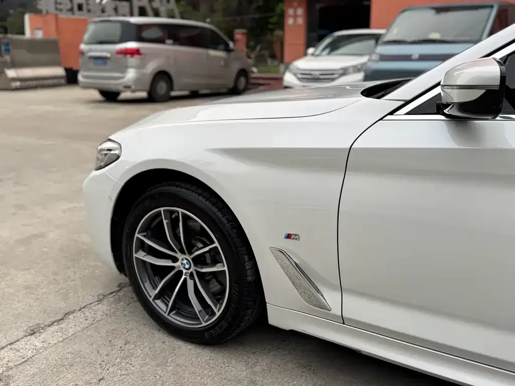 BMW 5 Series 2021 из CN, фото 10