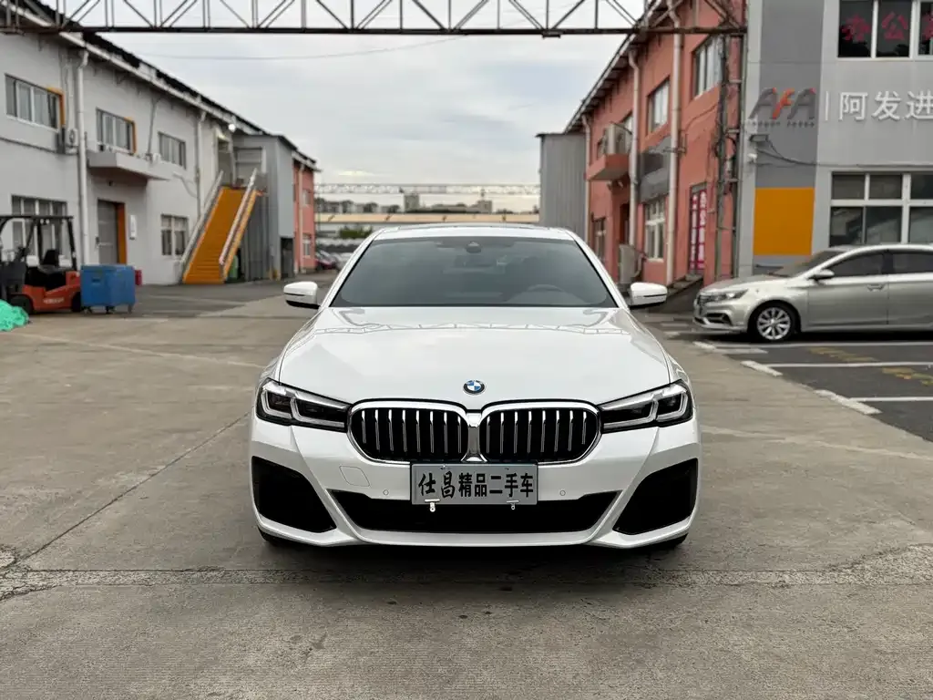 BMW 5 Series 2021 из CN, фото 2