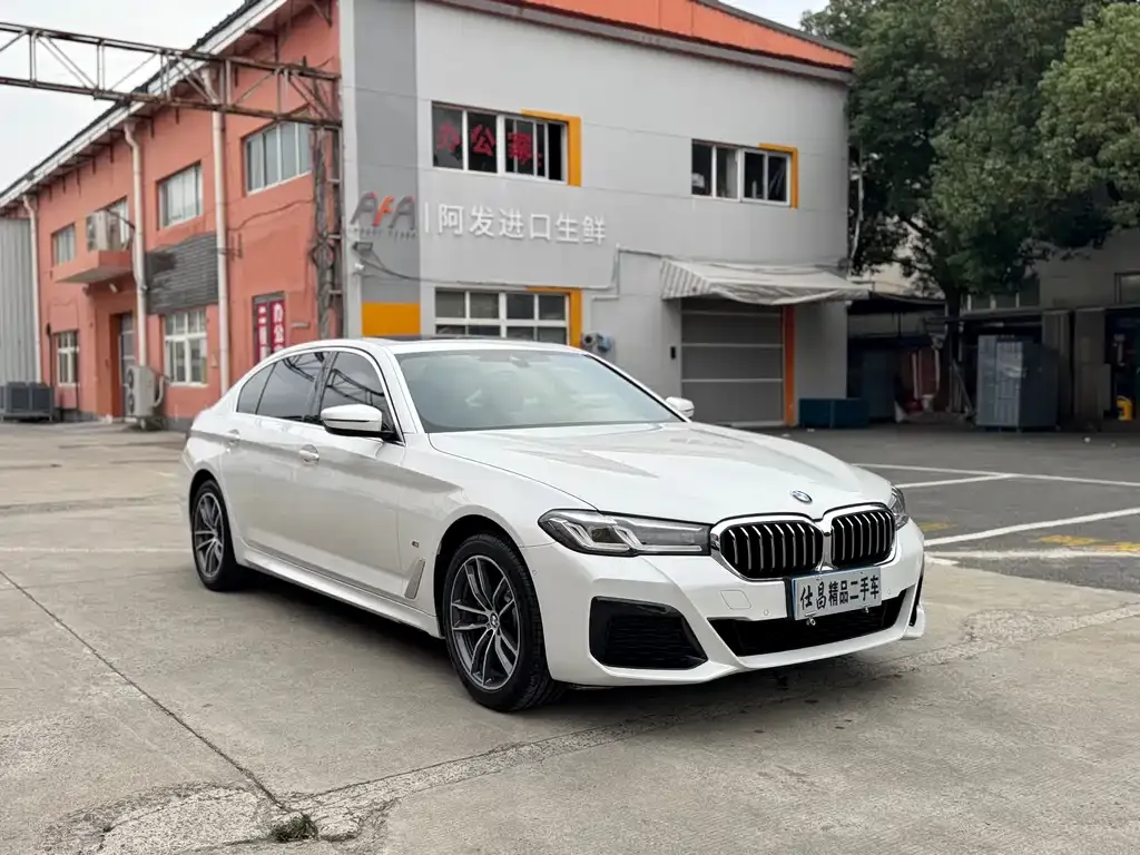 BMW 5 Series 2021 из CN, фото 3