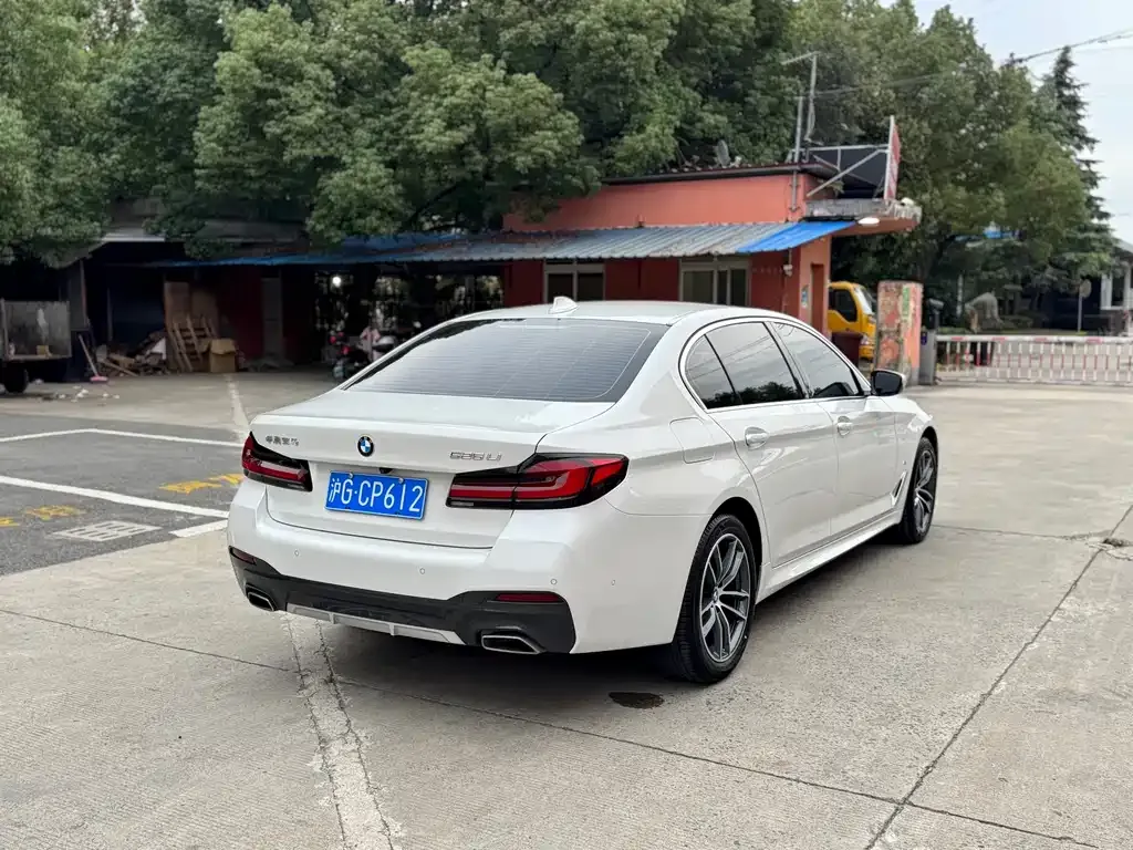 BMW 5 Series 2021 из CN, фото 4