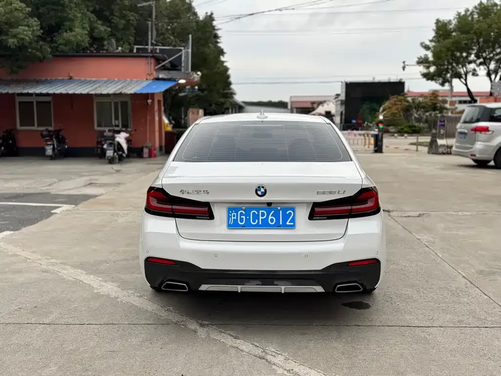 BMW 5 Series 2021 из CN, фото 5