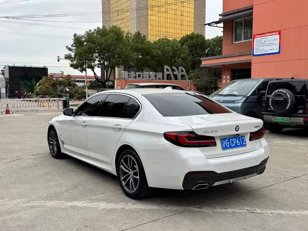 BMW 5 Series 2021 из CN, фото 6