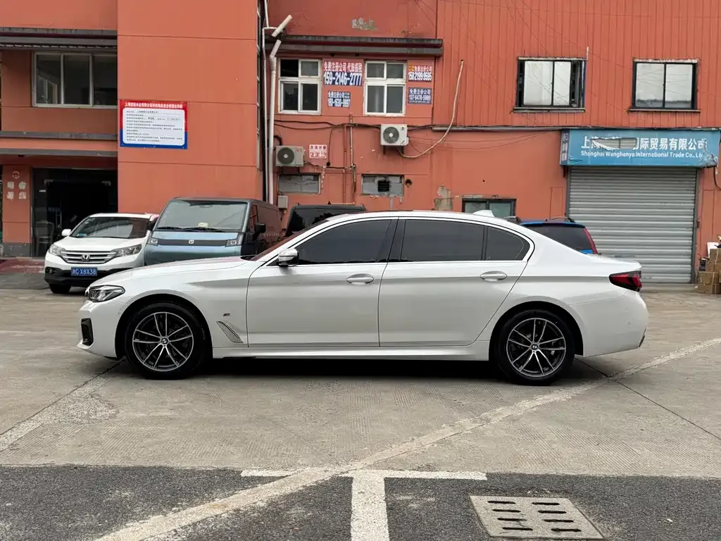 BMW 5 Series 2021 из CN, фото 7