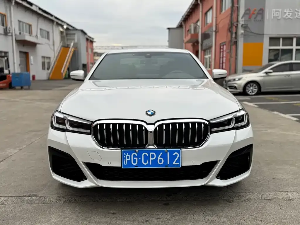 BMW 5 Series 2021 из CN, фото 8