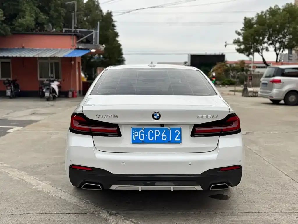 BMW 5 Series 2021 из CN, фото 9