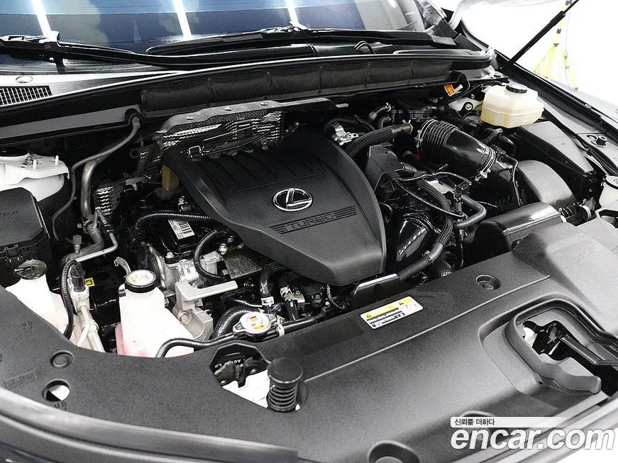 Lexus RX 2024 из KR, фото 6