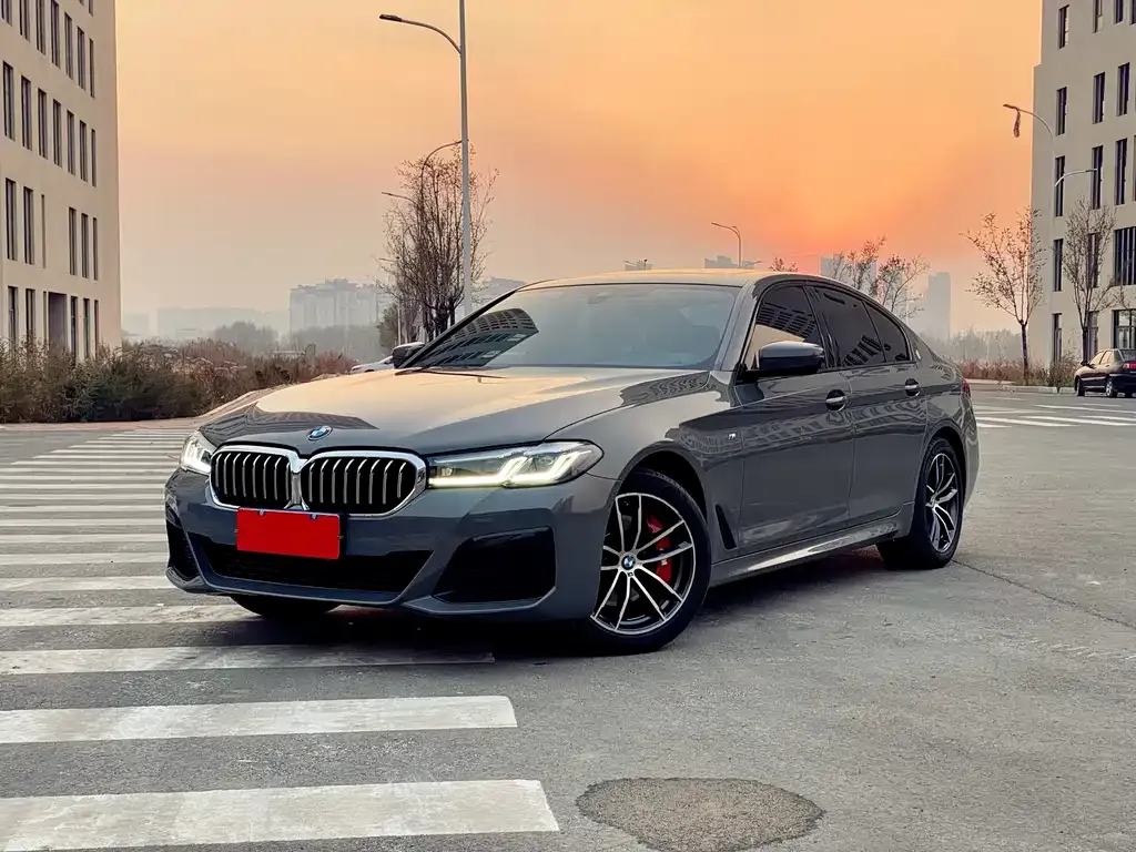 BMW 5 Series (Import) 2022 из CN, фото 1