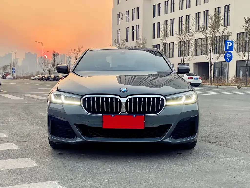 BMW 5 Series (Import) 2022 из CN, фото 2