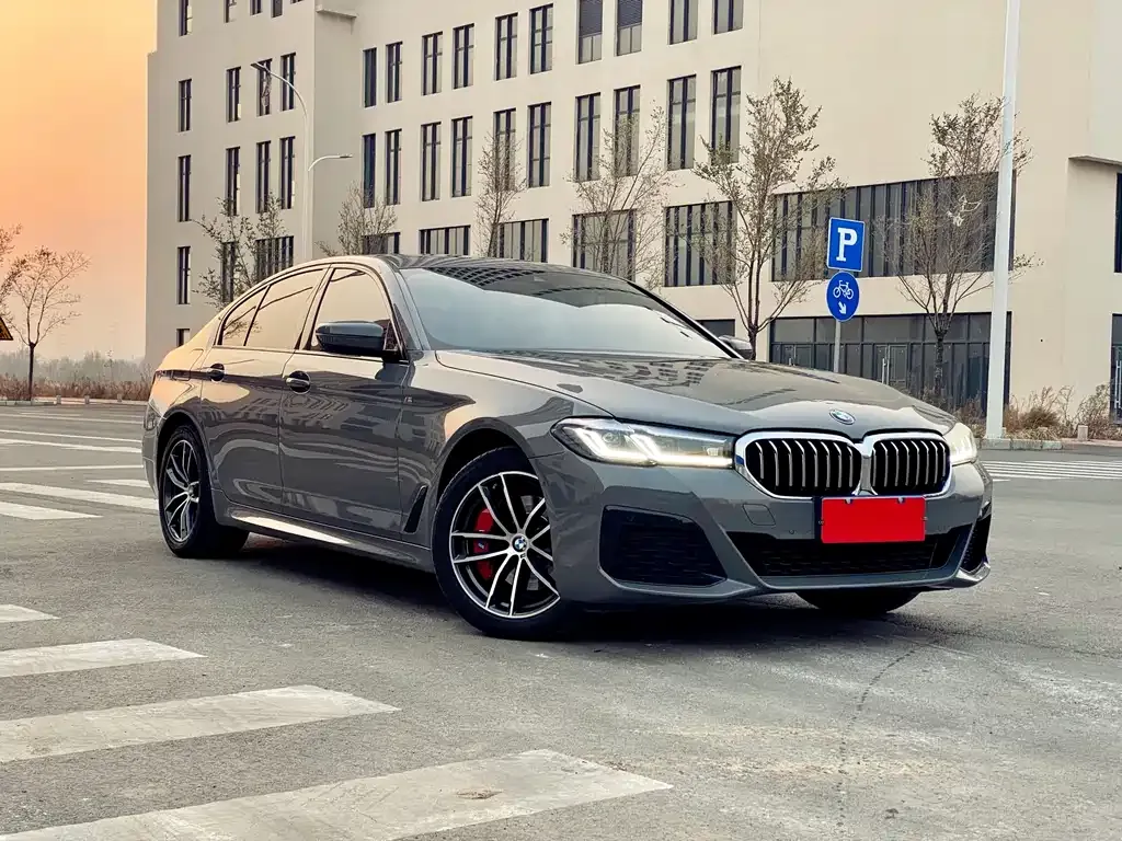 BMW 5 Series (Import) 2022 из CN, фото 3