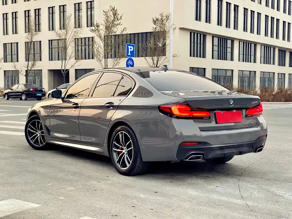 BMW 5 Series (Import) 2022 из CN, фото 4