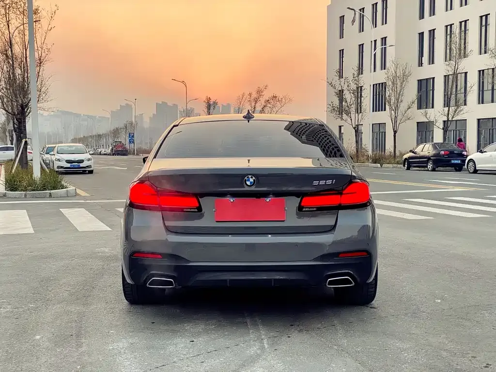 BMW 5 Series (Import) 2022 из CN, фото 5