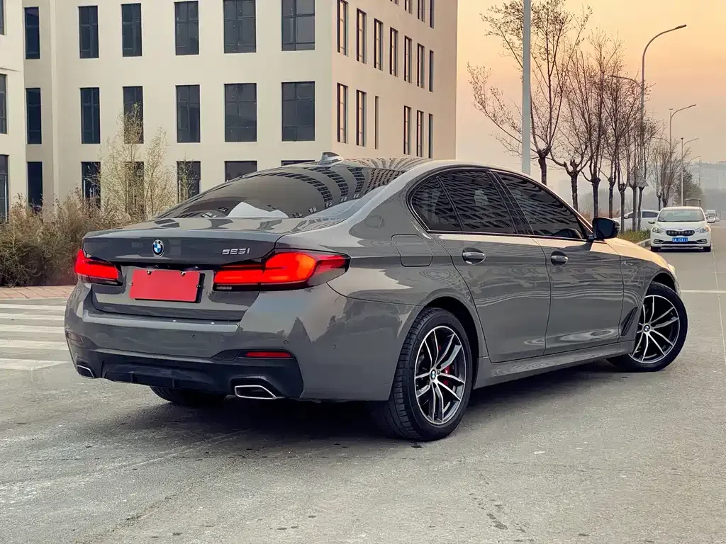 BMW 5 Series (Import) 2022 из CN, фото 6