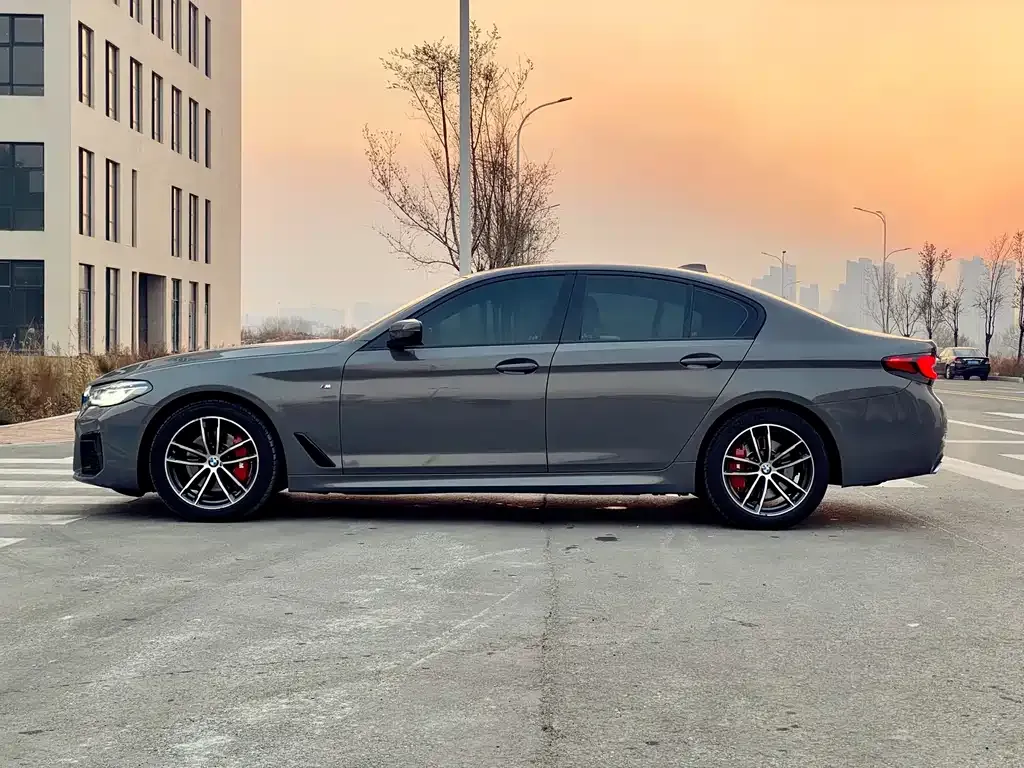 BMW 5 Series (Import) 2022 из CN, фото 7