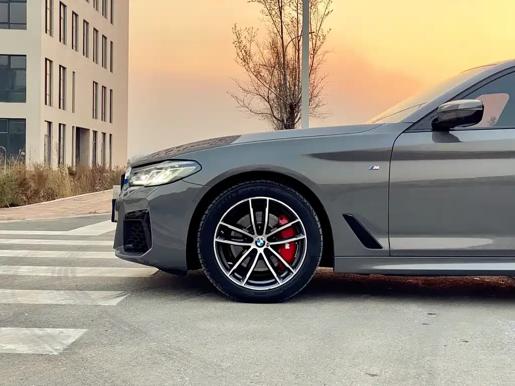 BMW 5 Series (Import) 2022 из CN, фото 8